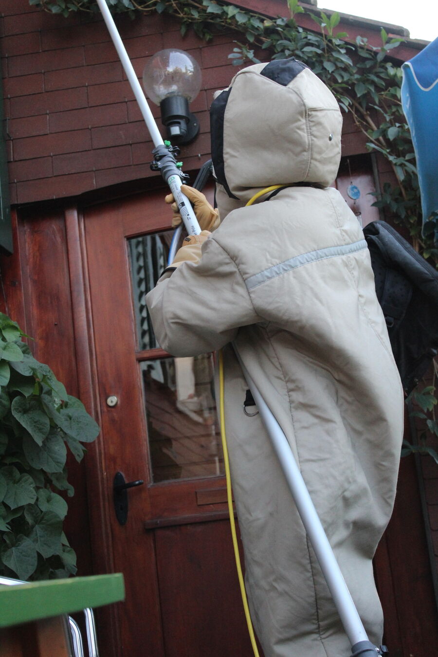 Bee-removal-tree-bees-in-the-garden.jpg