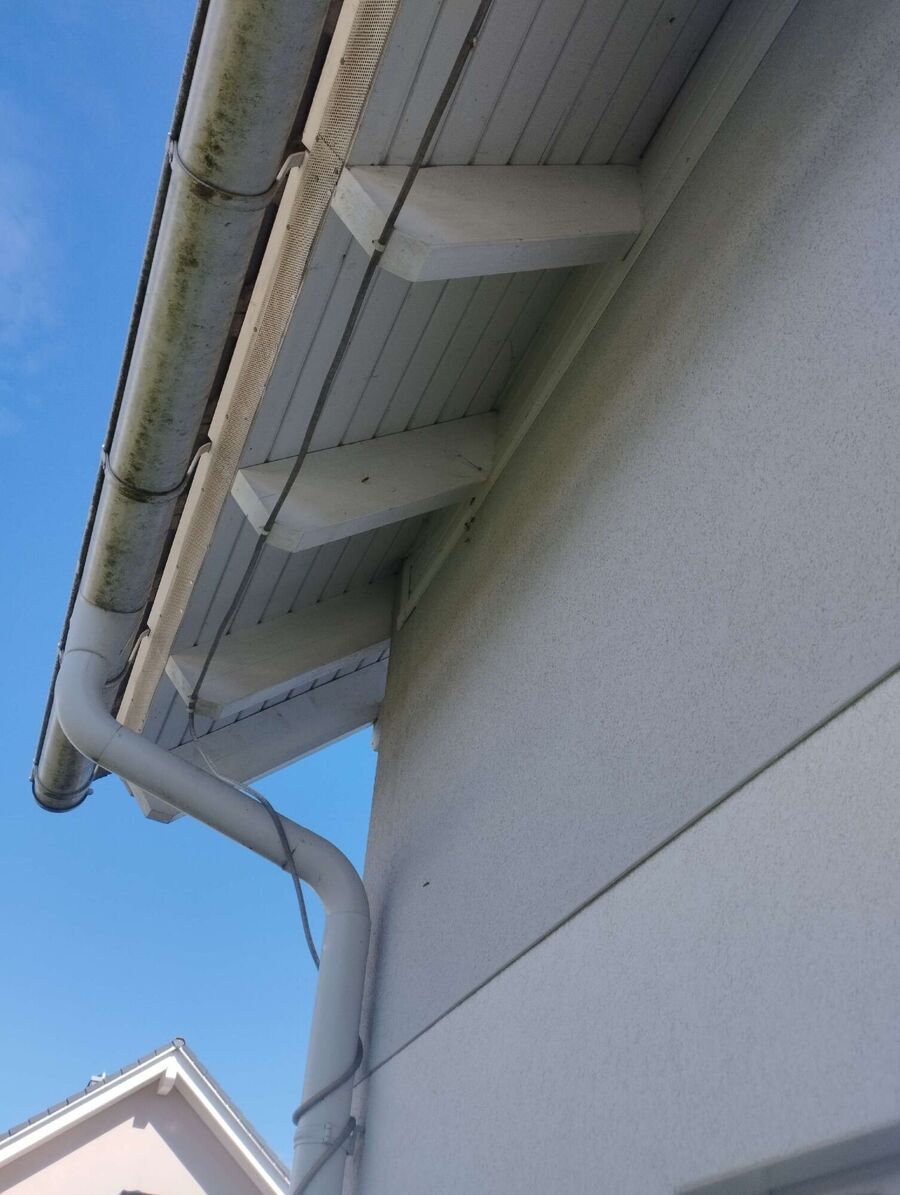 Bee nest at the house remove