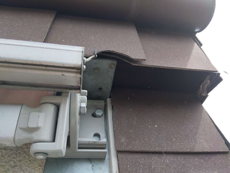 Bee nest at the house remove