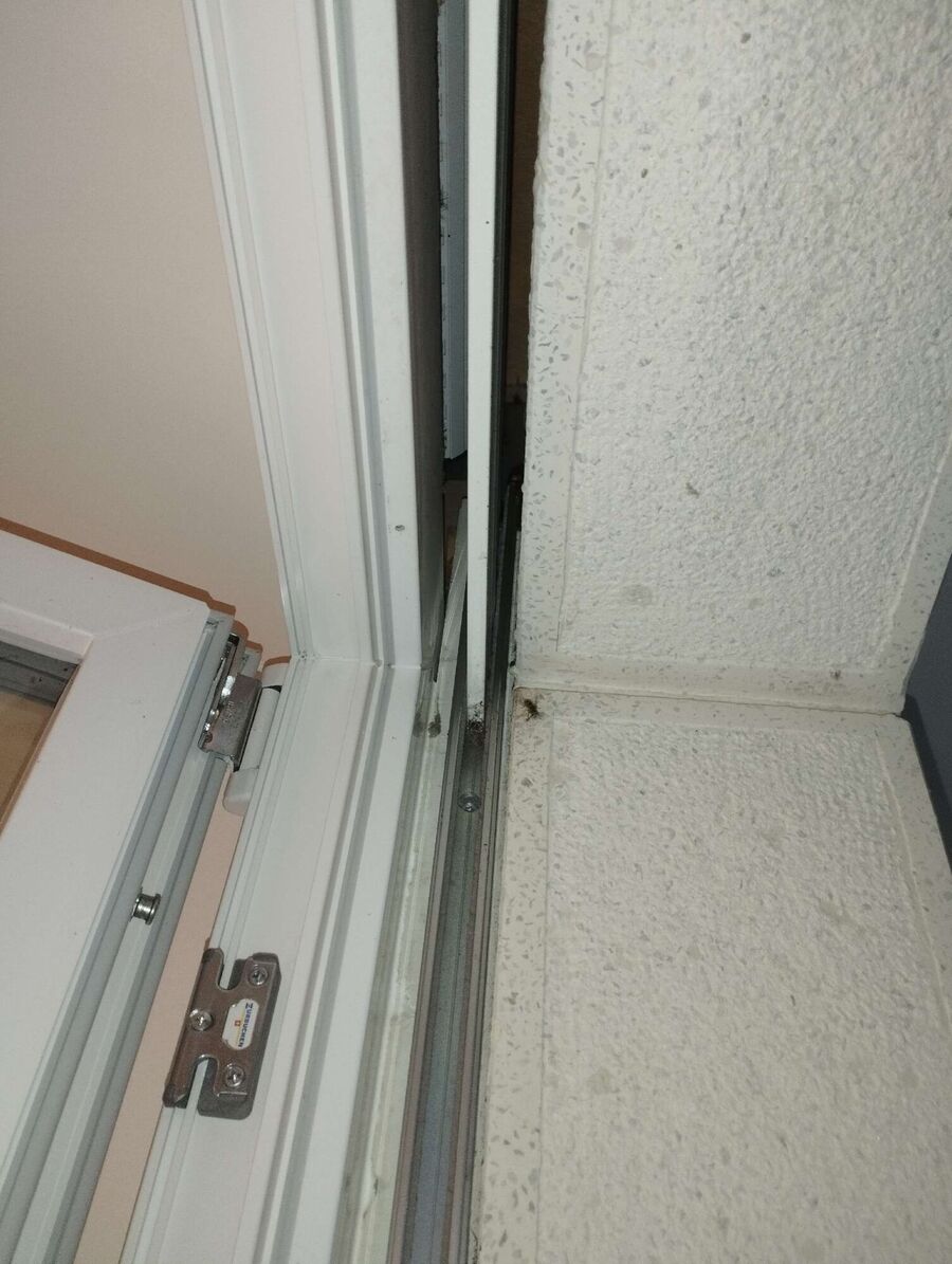 Relocate bees & remove bee nest