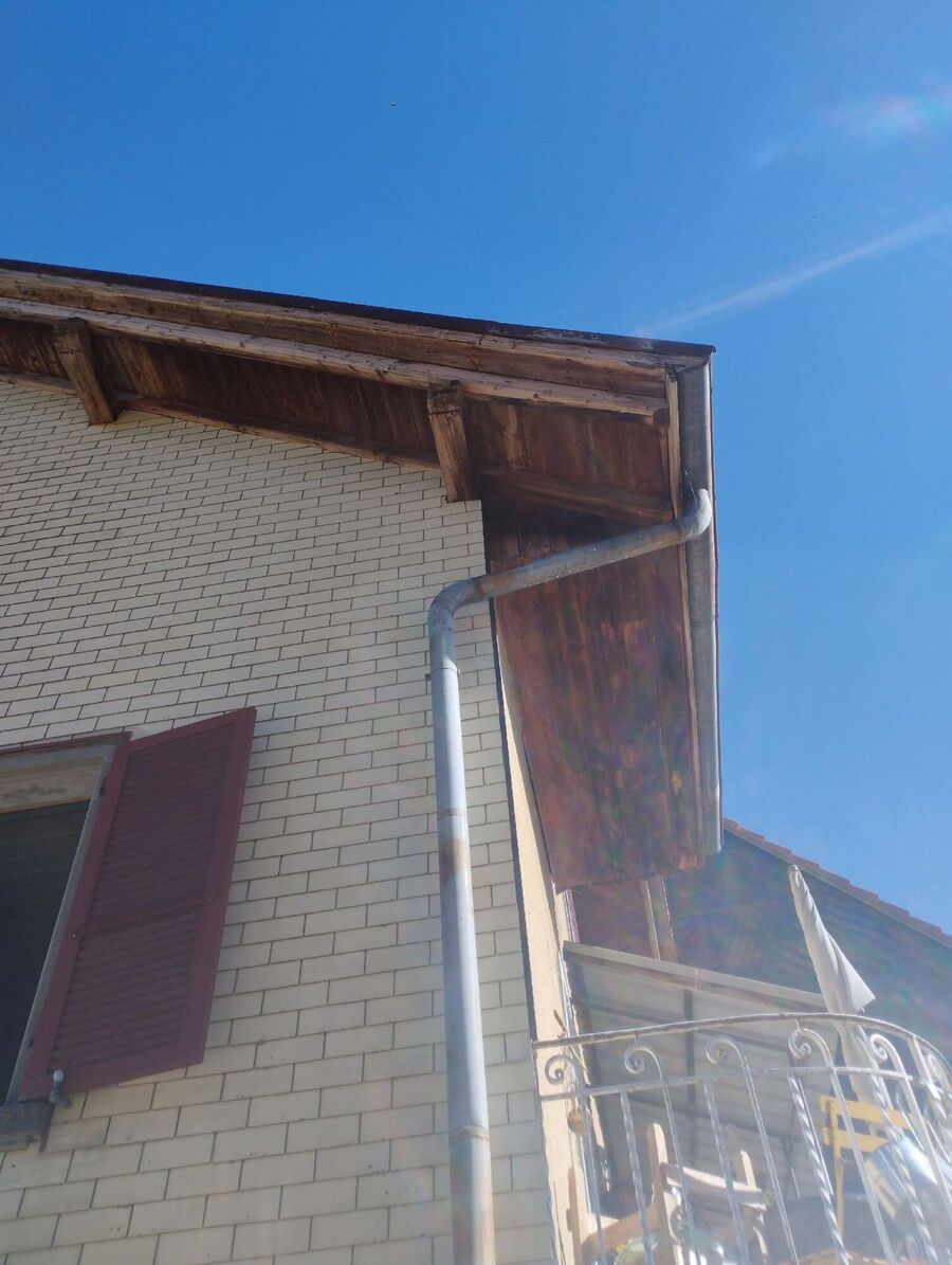 Bee nest at the house remove