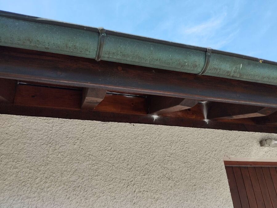 Bee nest at the house remove