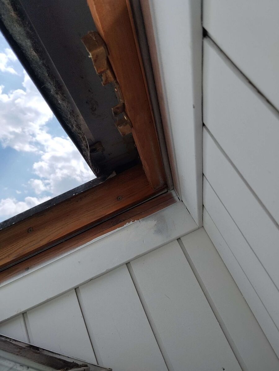 Bee nest at the house remove