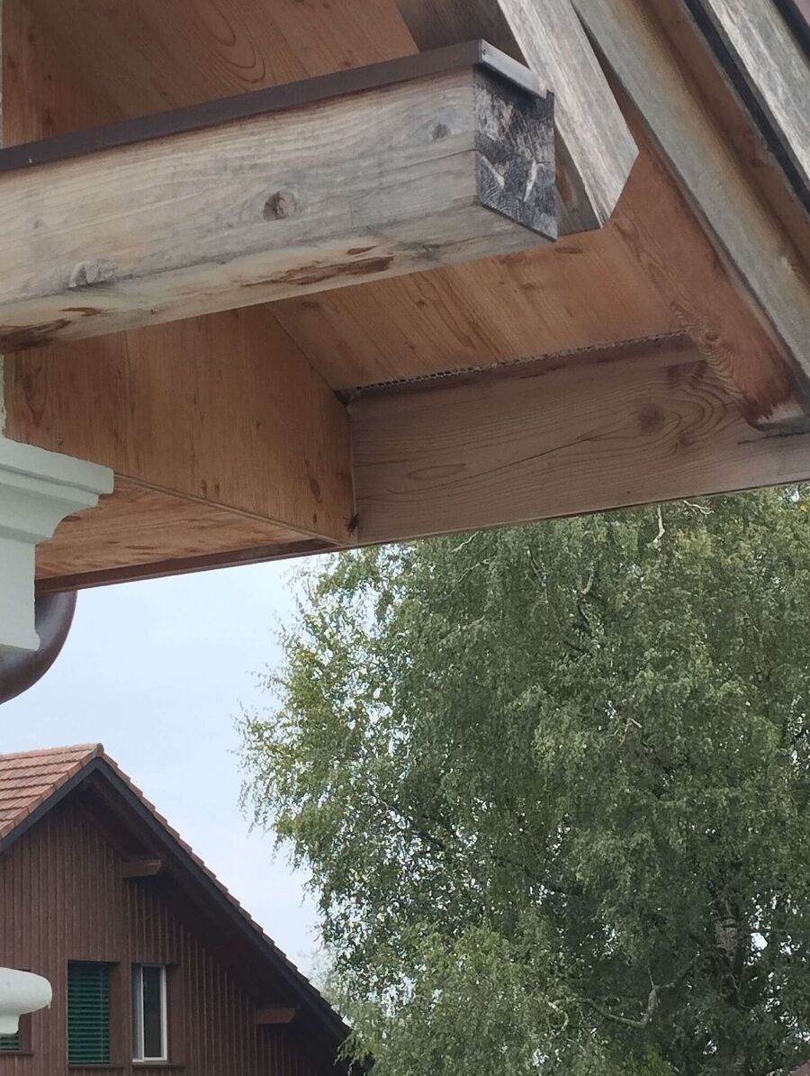 Bee nest at the house remove