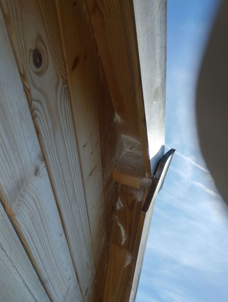 Relocate bees & remove bee nest