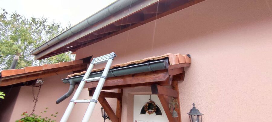 Bee nest at the house remove