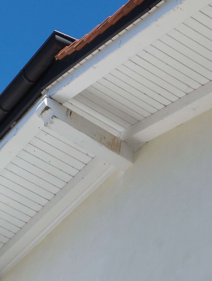 Bee nest at the house remove