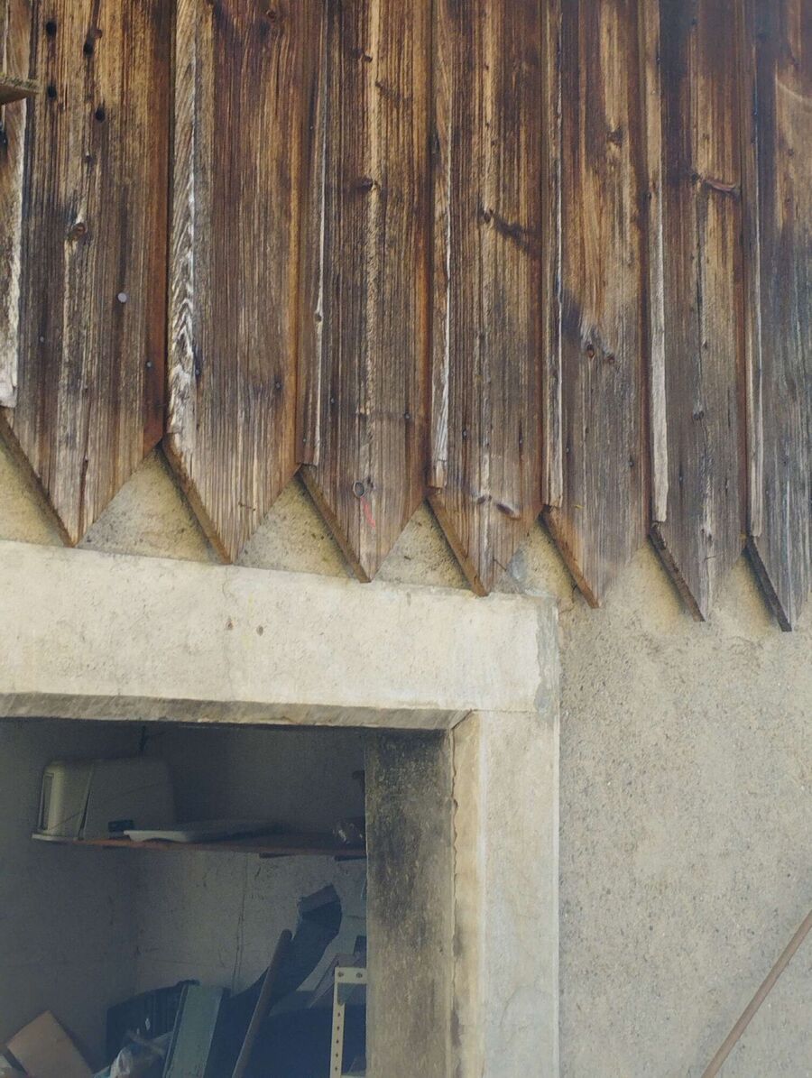 Relocate bees & remove bee nest