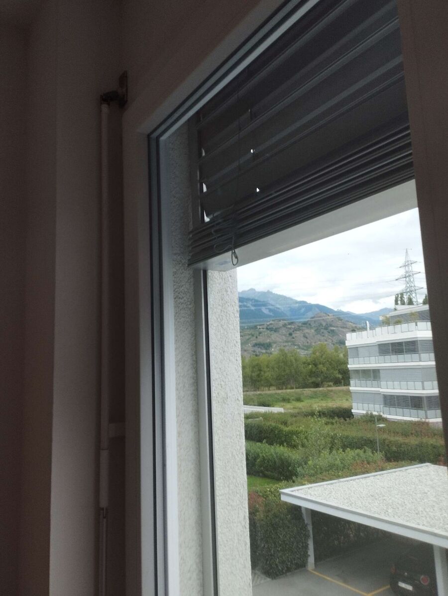 Relocate bees & remove bee nest