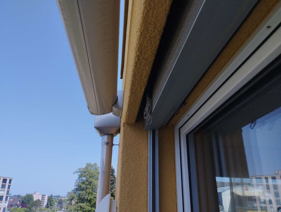 Relocate bees & remove bee nest