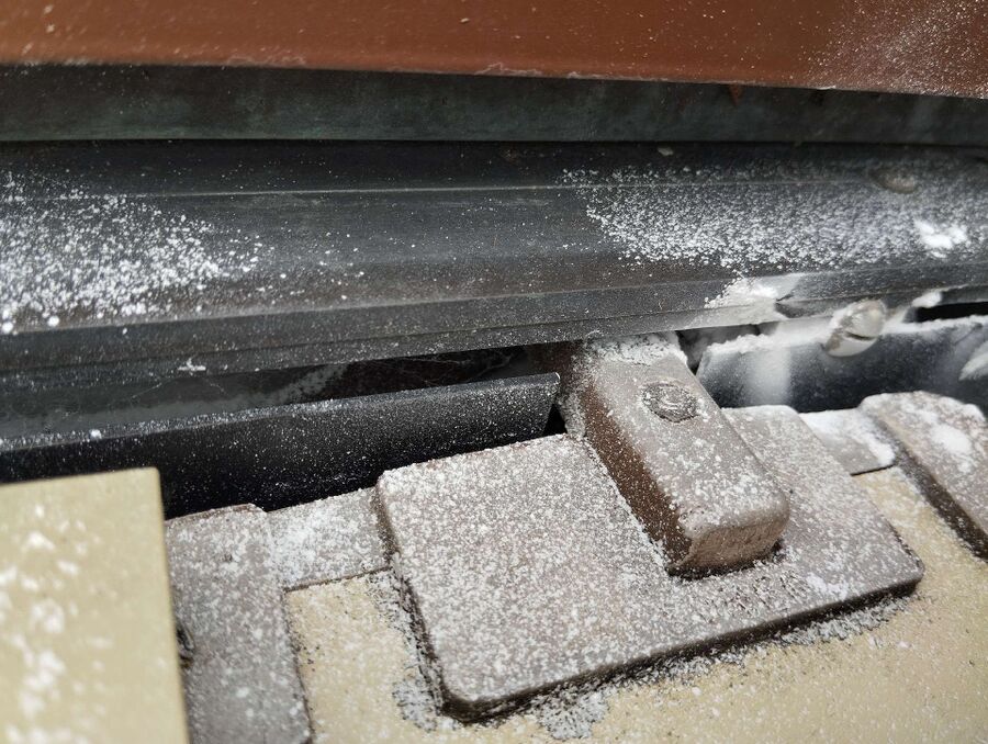 Relocate bees & remove bee nest