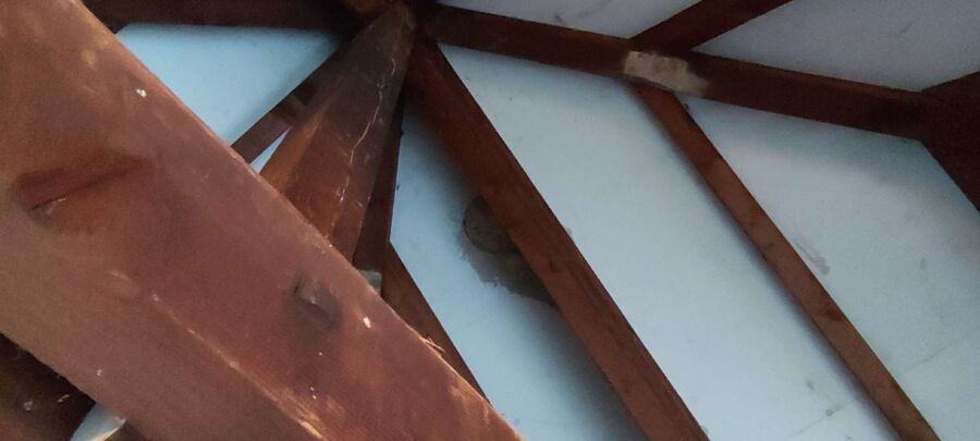 Bee nest at the house remove