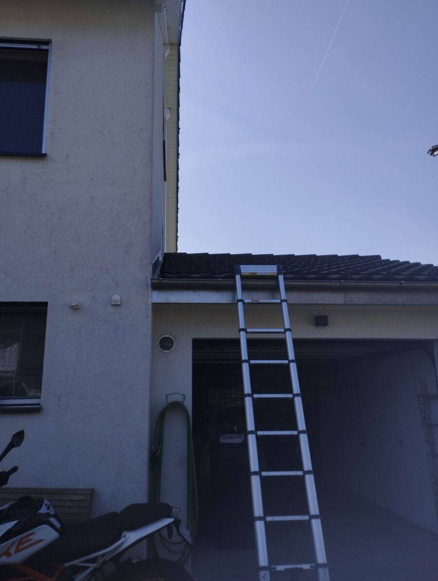 Bee nest at the house remove