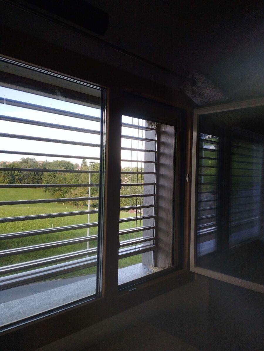 Bee nest at the house remove