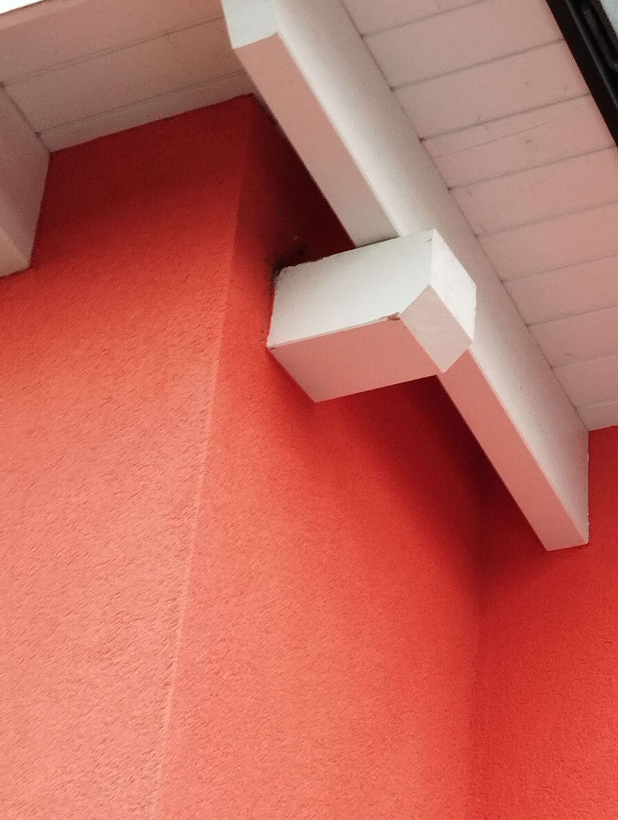 Relocate bees & remove bee nest