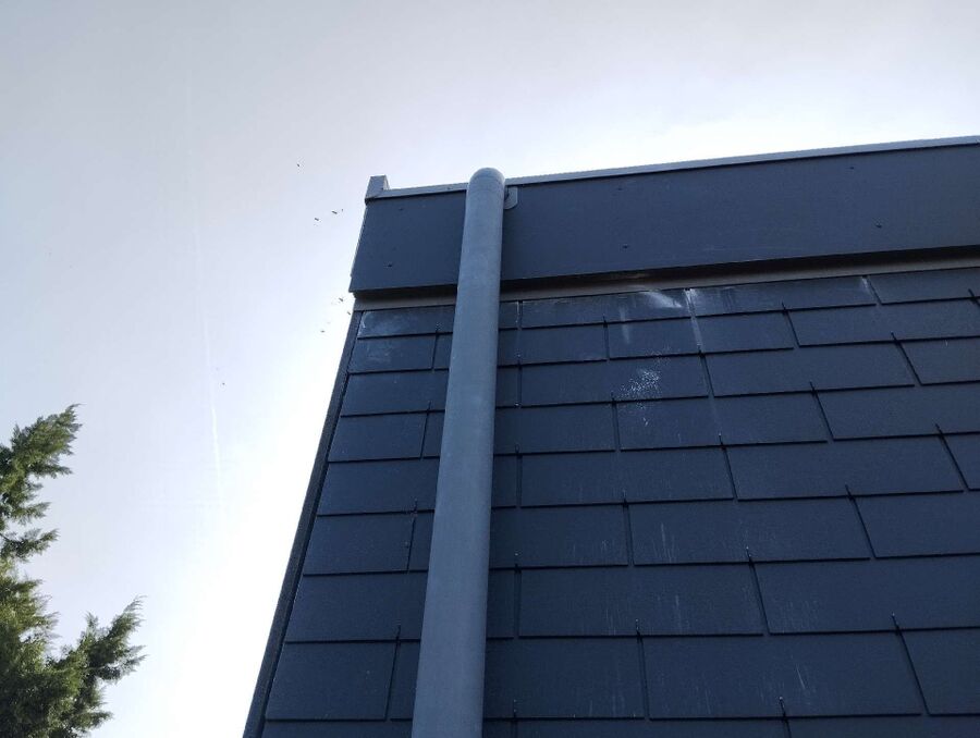 Bee nest at the house remove