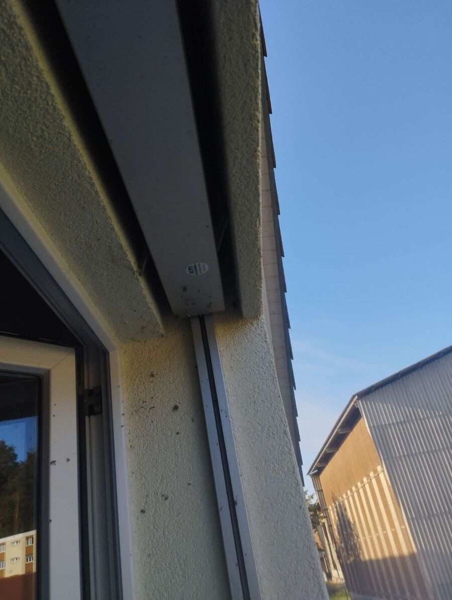 Bee nest at the house remove