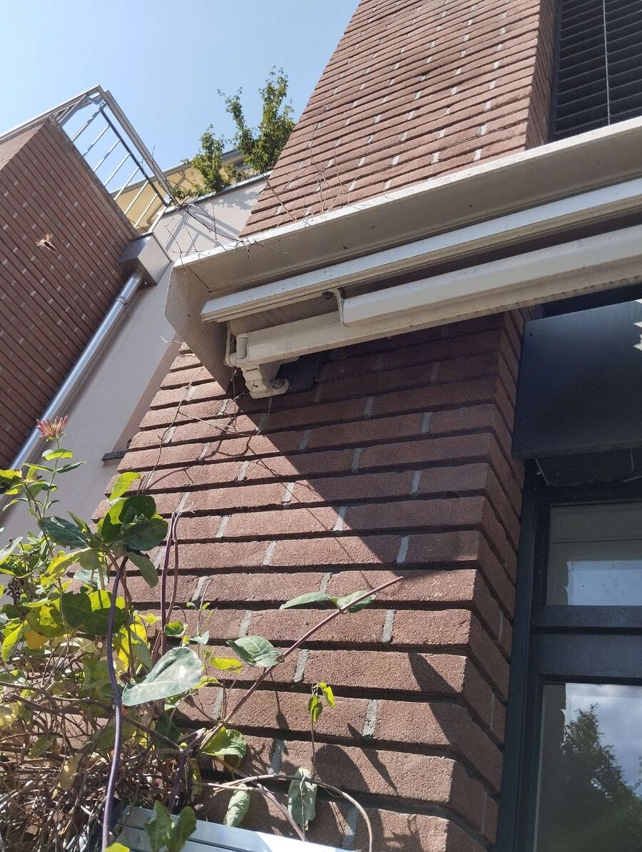 Bee nest at the house remove