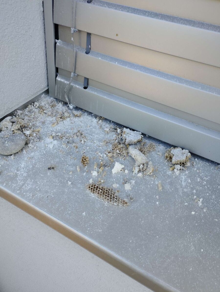 Bee nest at the house remove