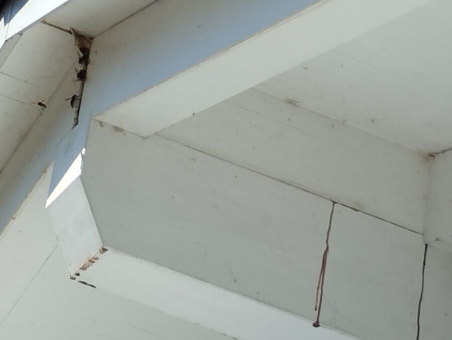 Bee nest at the house remove