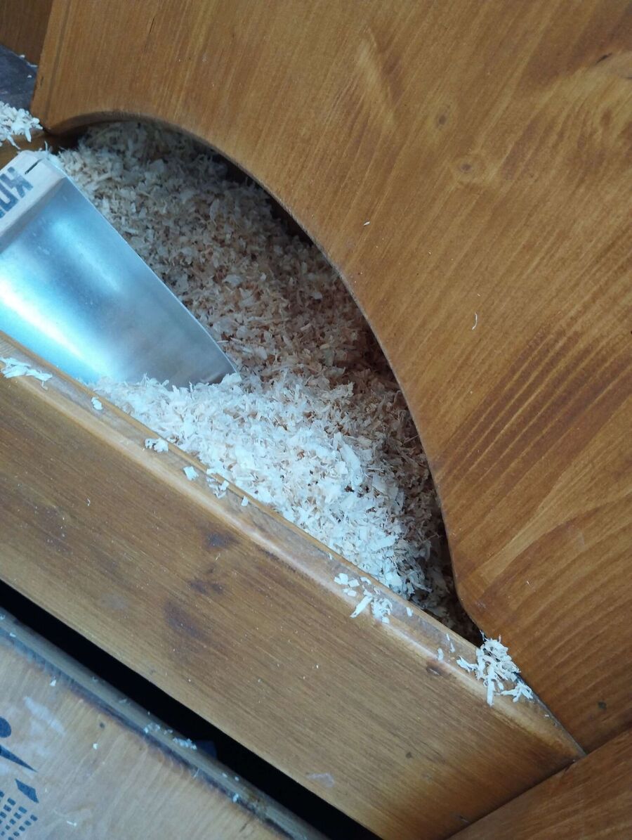 Bee nest at the house remove