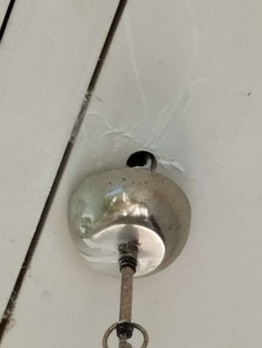 Bee nest at the house remove