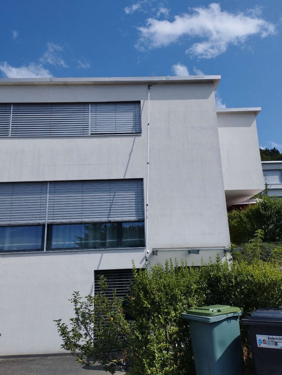 Bee nest at the house remove