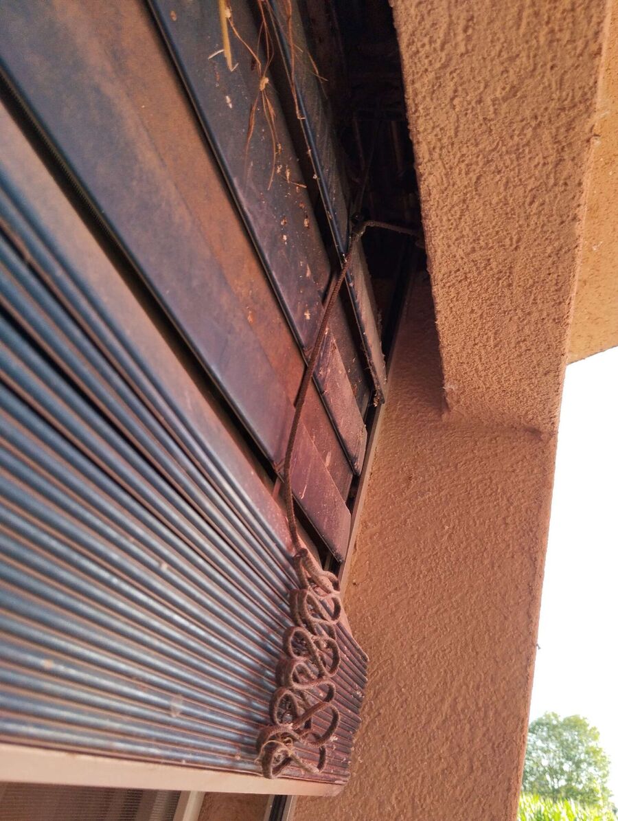 Bee nest at the house remove