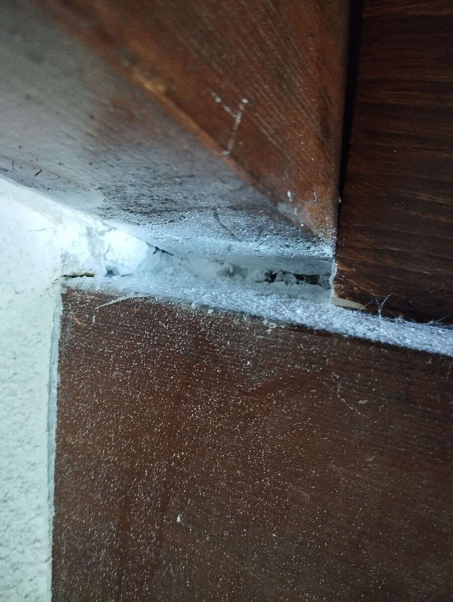 Bee nest at the house remove