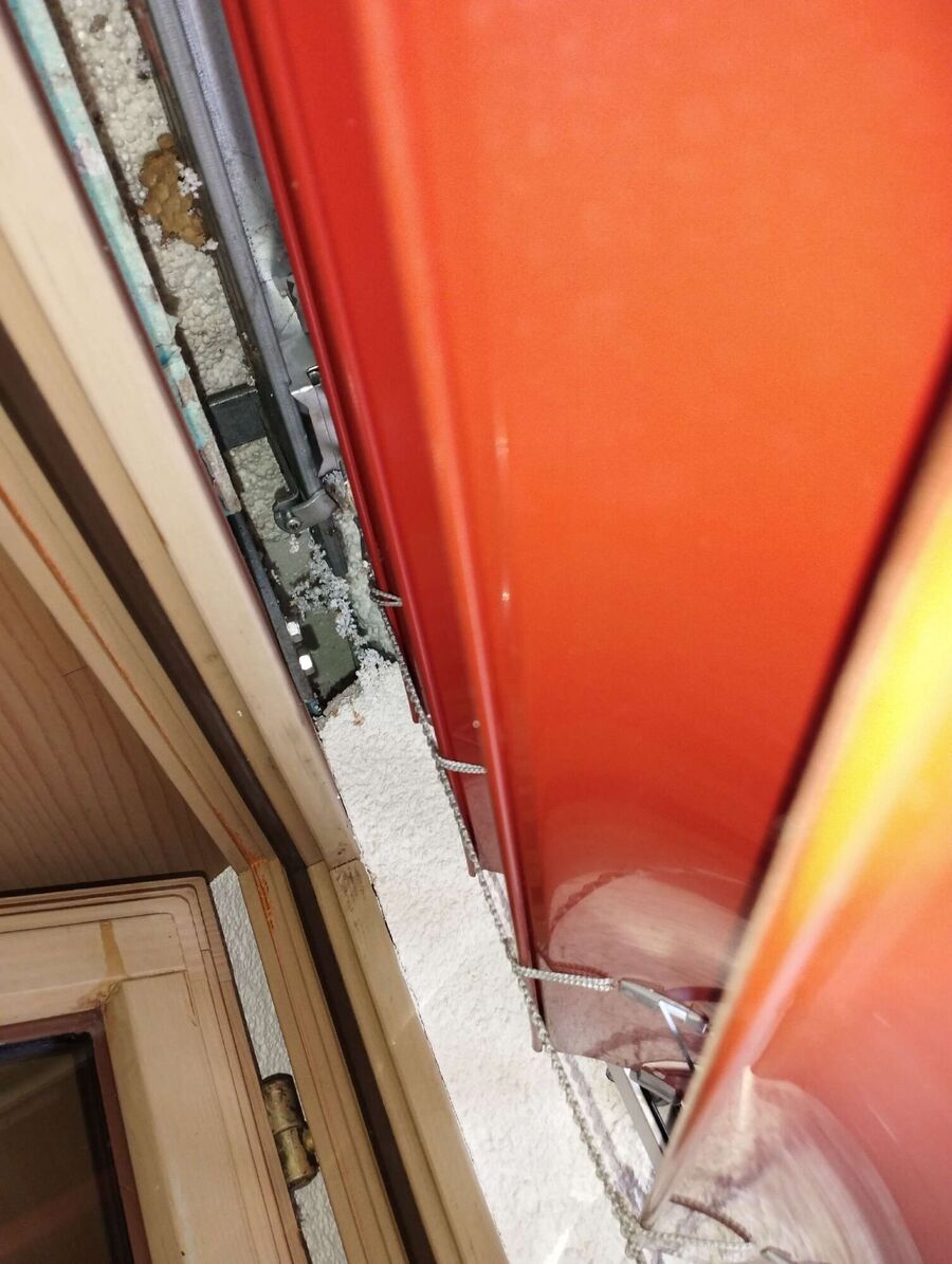 Relocate bees & remove bee nest