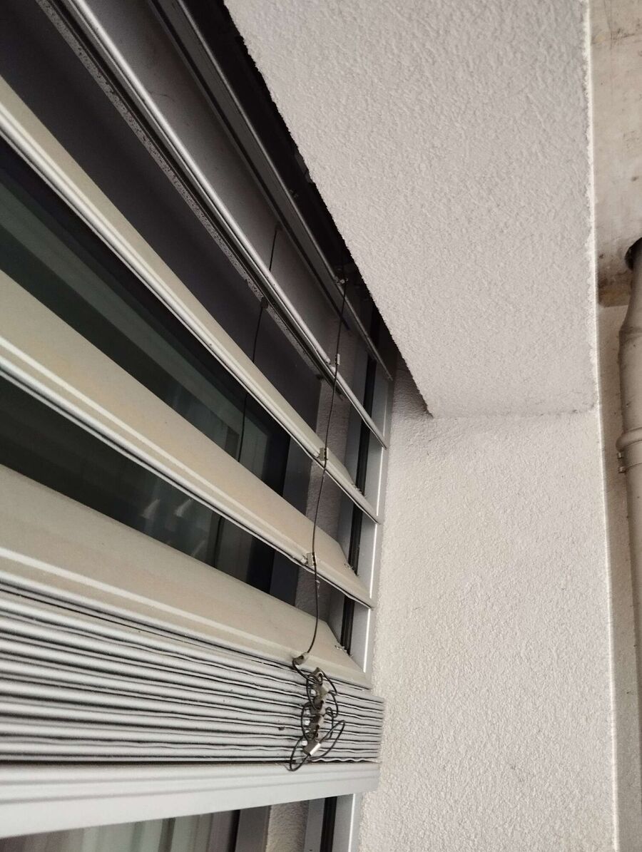 Relocate bees & remove bee nest