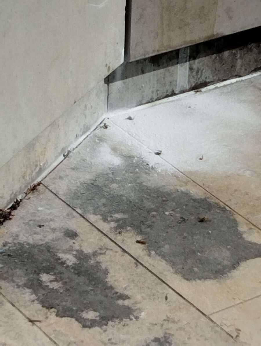 Bee nest at the house remove