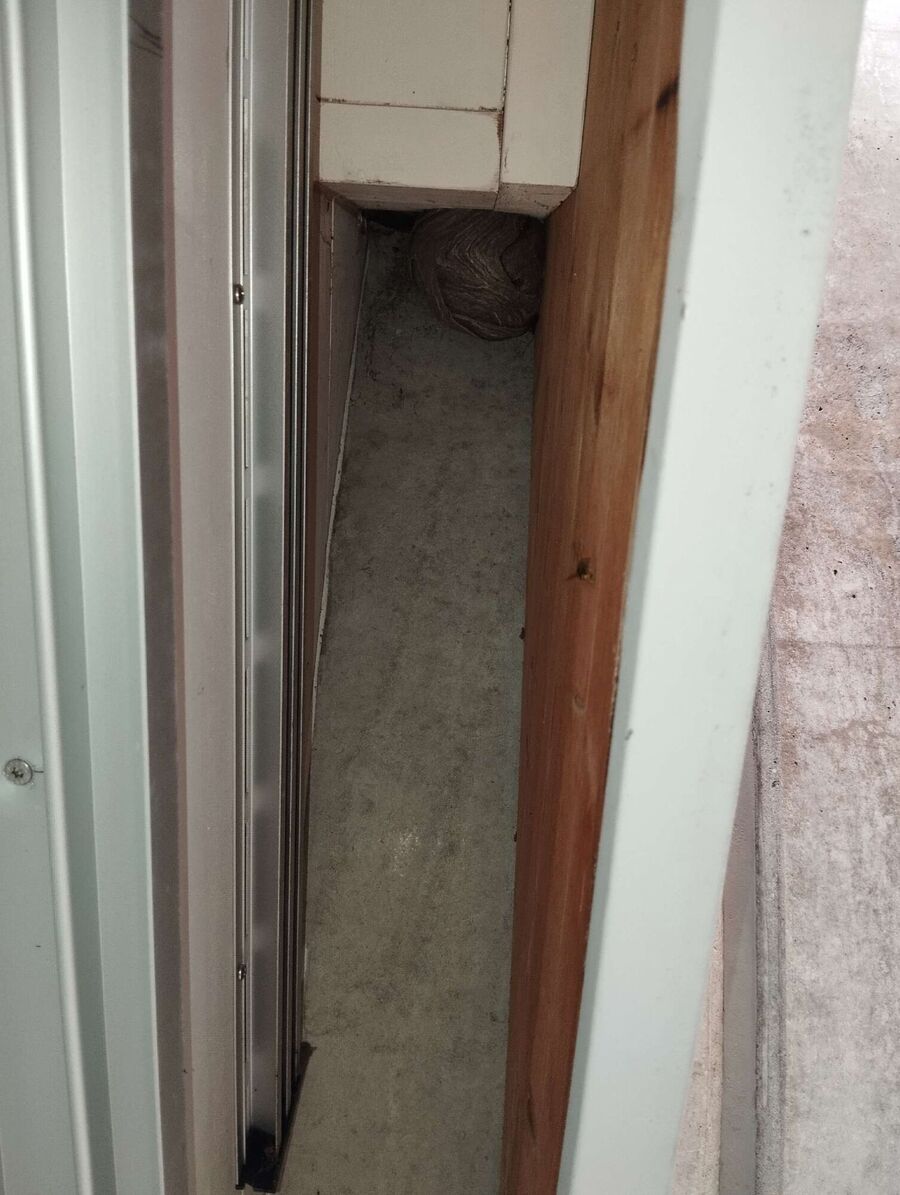 Bee nest at the house remove