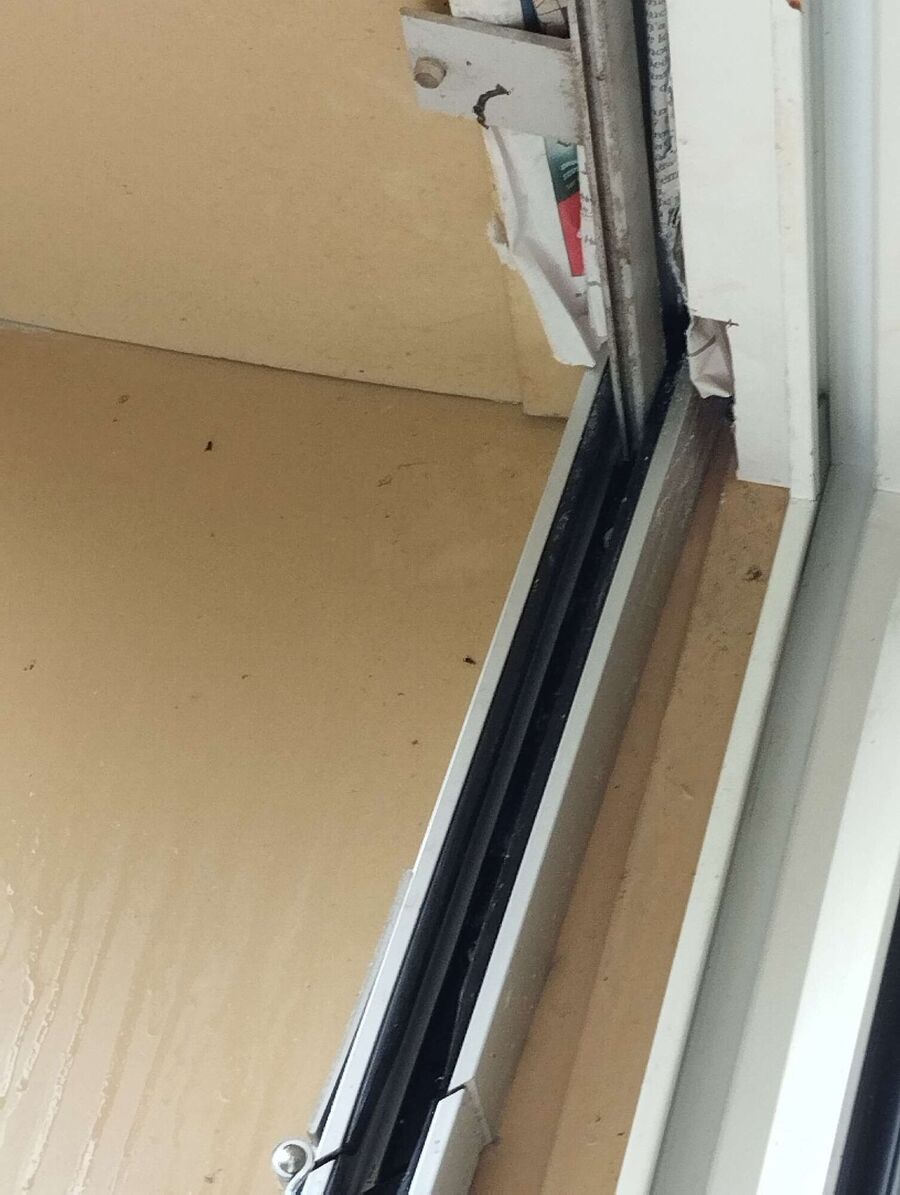 Bee nest at the house remove