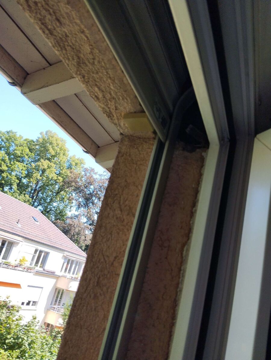 Bee nest at the house remove