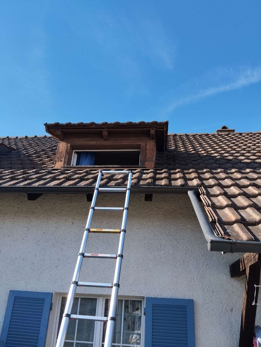 Bee nest at the house remove