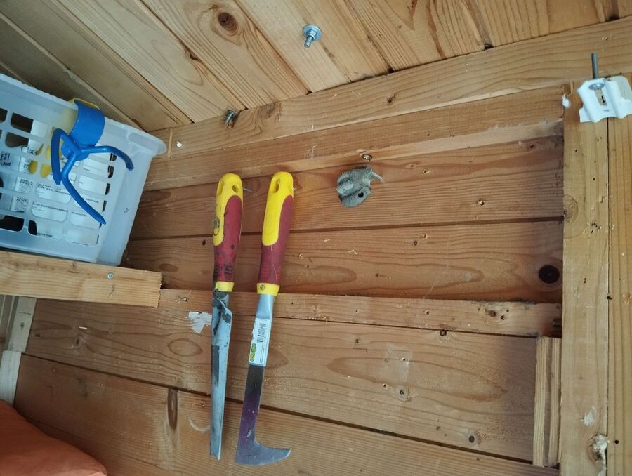 Relocate bees & remove bee nest