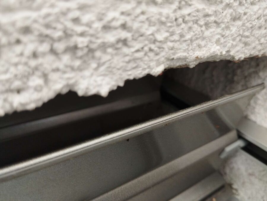 Relocate bees & remove bee nest