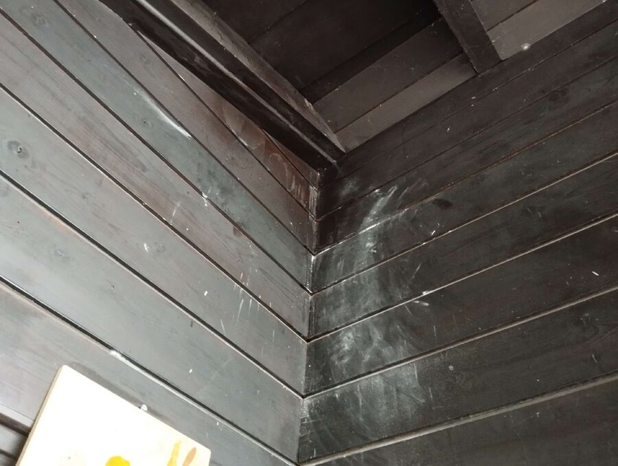 Bee nest at the house remove