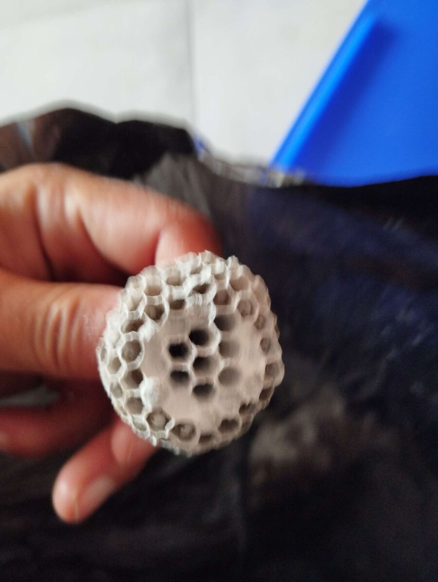 Bee nest at the house remove