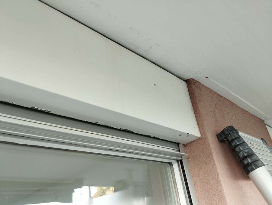 Bee nest at the house remove