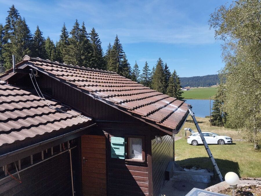 Bee nest at the house remove