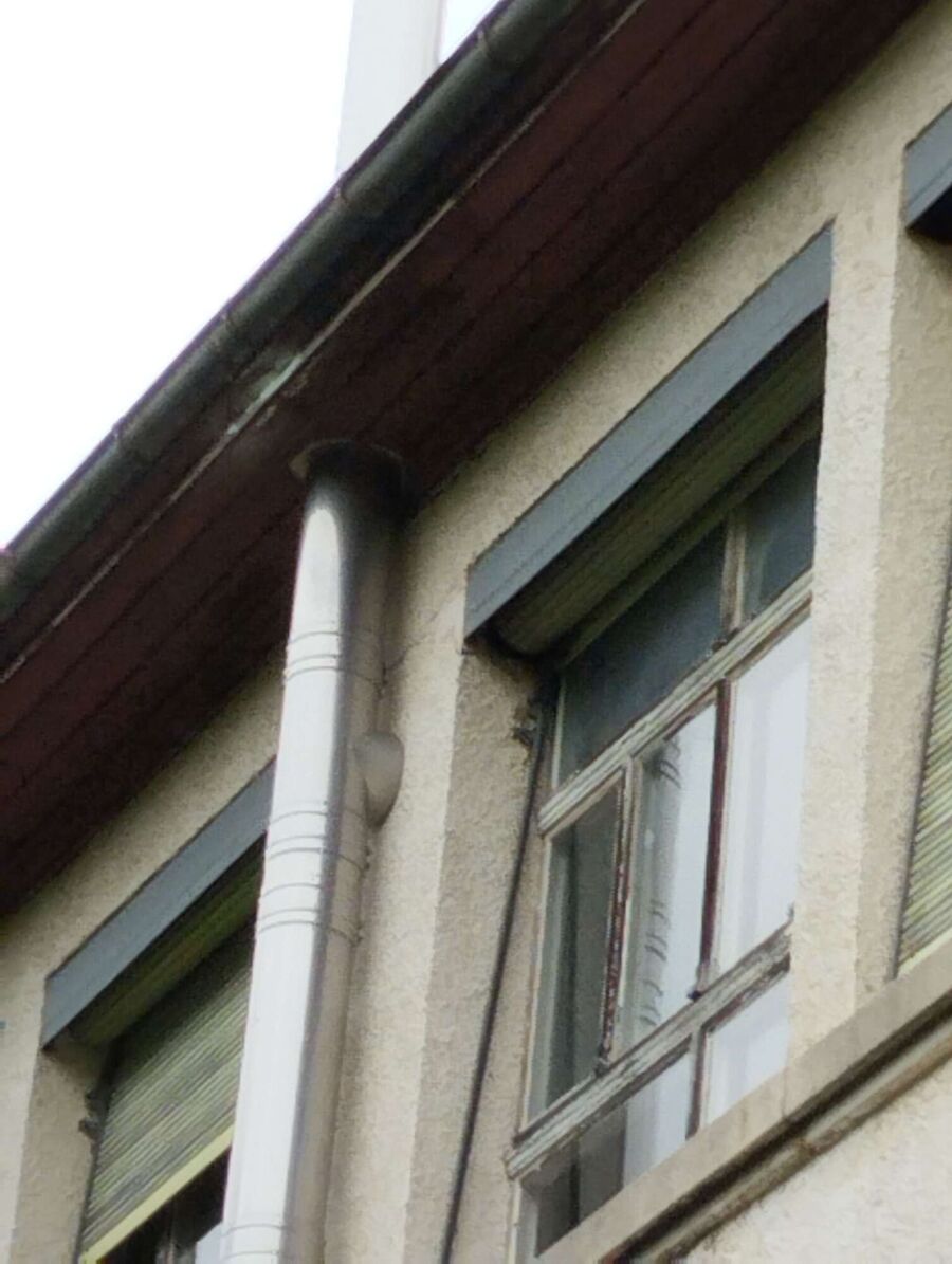 Bee nest at the house remove