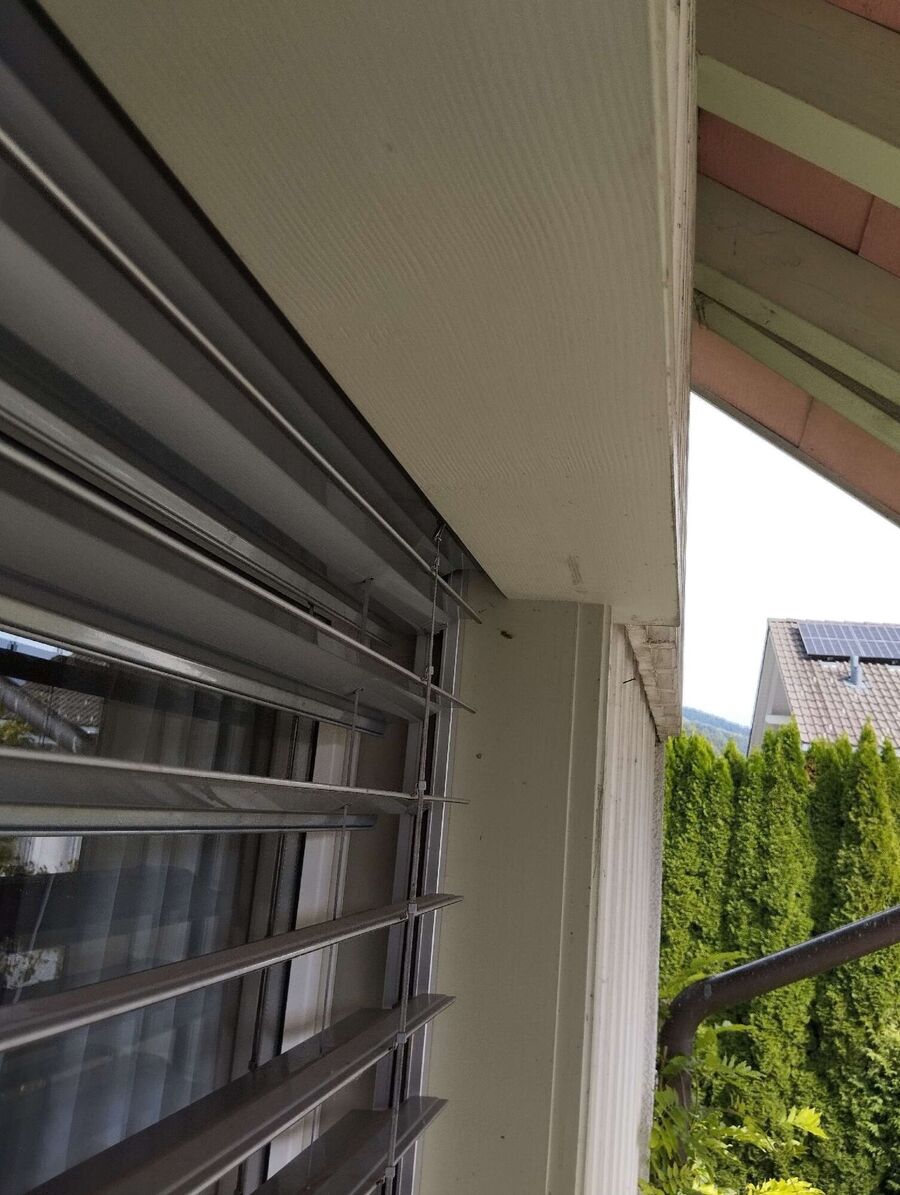 Bee nest at the house remove