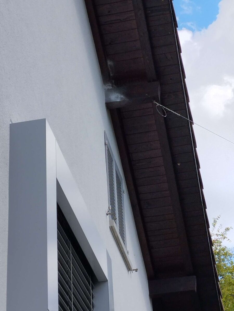 Bee nest at the house remove