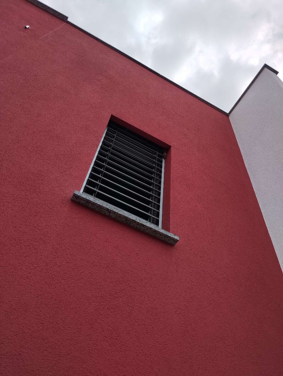 Relocate bees & remove bee nest