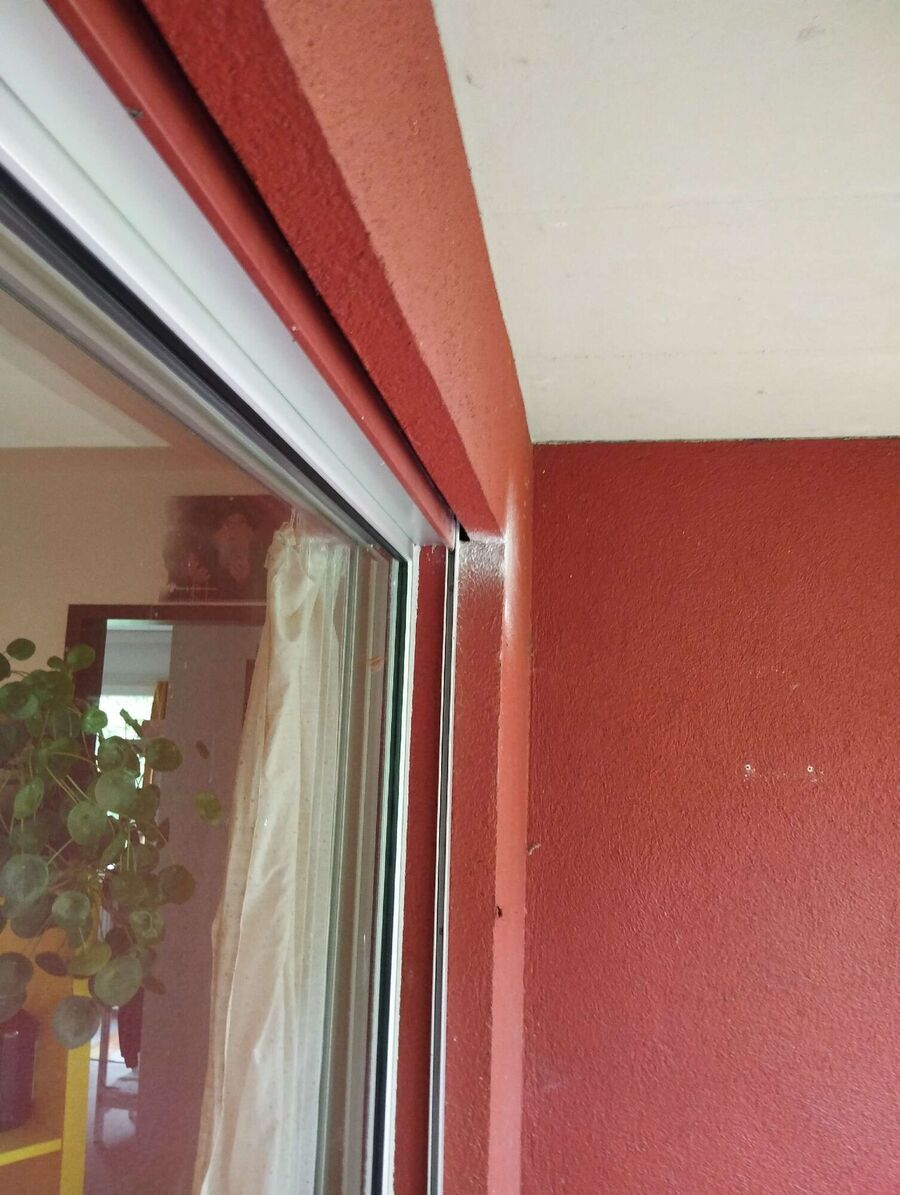 Bee nest at the house remove