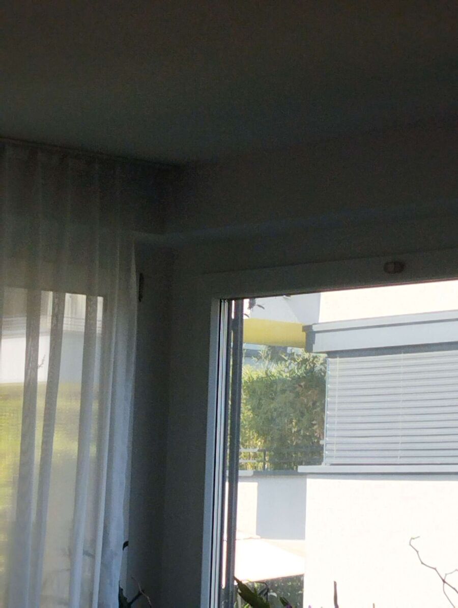 Bee nest at the house remove