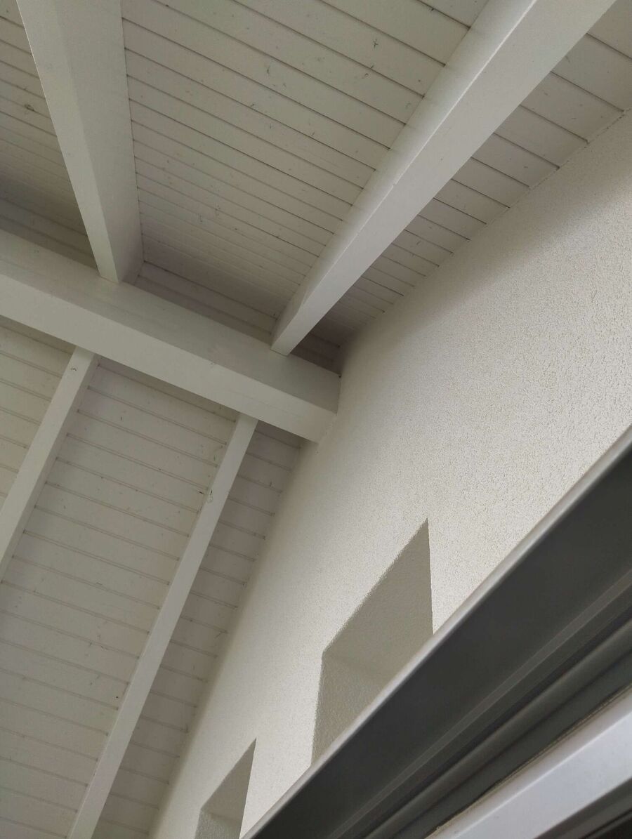 Bee nest at the house remove