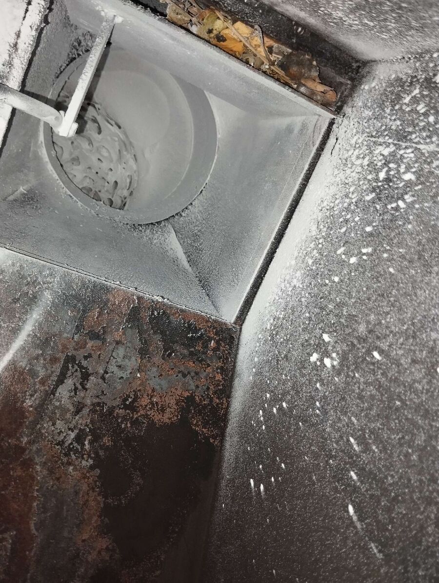 Bee nest at the house remove